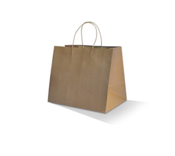 Brown Kraft Bag/Twisted paper handle/Takeaway medium 250pc/ctn