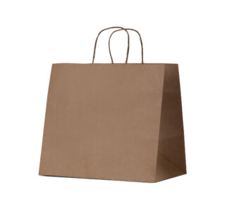 Takeaway Brown Kraft Paper Bag, Large