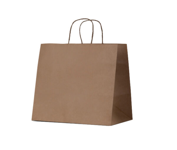 Takeaway Brown Kraft Paper Bag, Large
