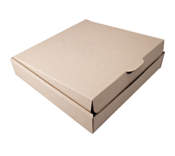 9″BIOBOX BROWN PIZZA BOX PRINT 100’s